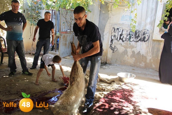 dabe7 ludj31 (46).JPG